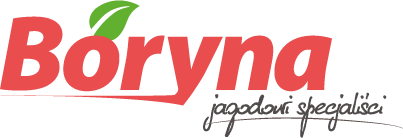 Boryna, Krzysztof Borzęcki